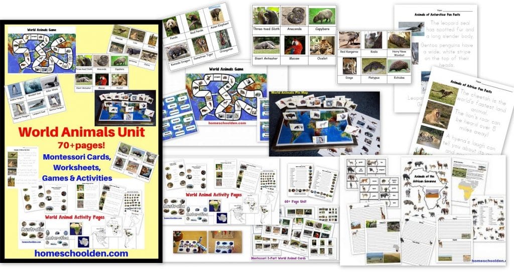 https://e7ca9864.delivery.rocketcdn.me/wp-content/uploads/2020/03/World-Animals-Unit-Montessori-Cards-Games-Activities-and-more.jpg