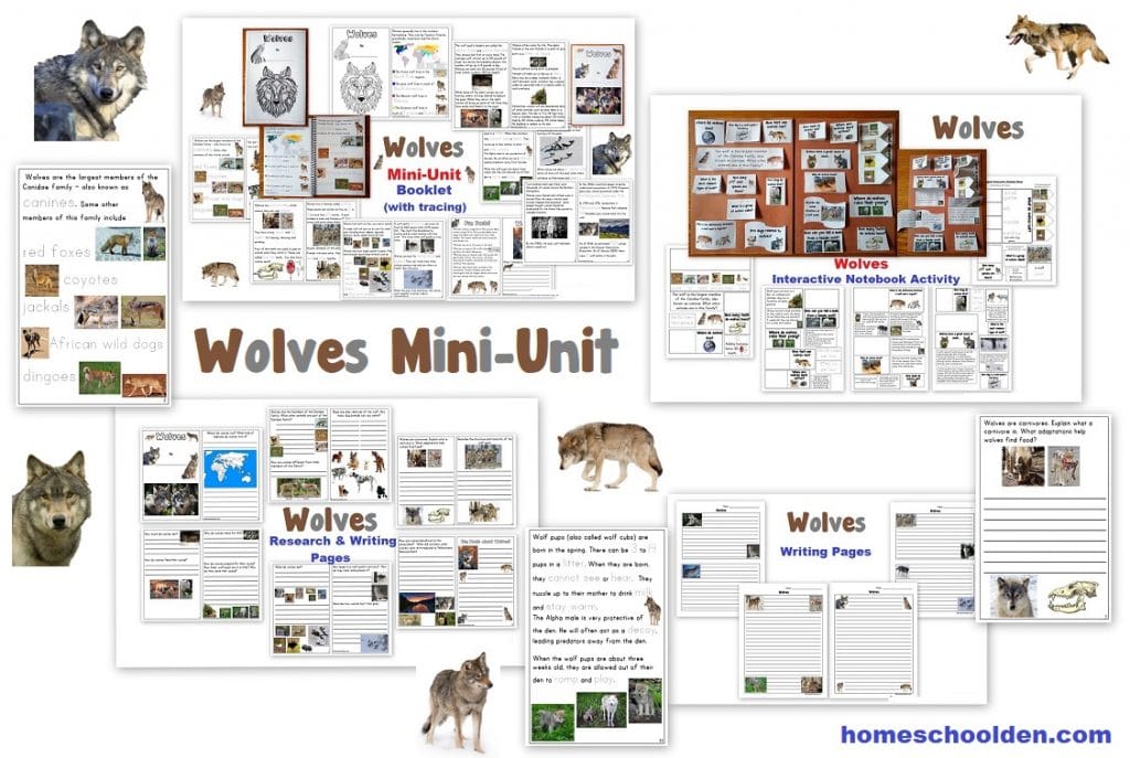 Wolves Mini-Unit Worksheets Notebook Activities Lapbook